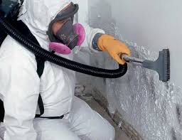 Why You Should Choose Our Mold Remediation Services in (206) 803-13630